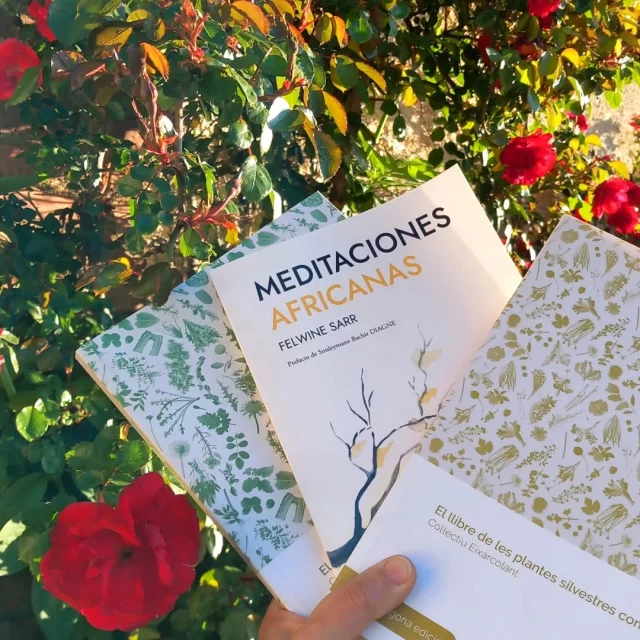 A gaudir de la Diada de Sant Jordi🌹📚💚