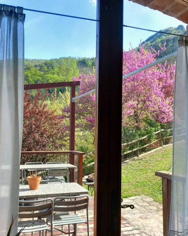 Com ja es preveia, primavera brutal!🌱🌺